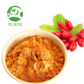 Poudre de baies de goji biologique extrait de goji de fruits secs grossiste export turquie